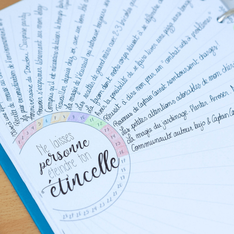 Defi 365 Jours De Gratitude A Imprimer Avec Citations Captain Carnet Defi 365 Jours De Gratitude A Imprimer Avec Citations Captain Carnet